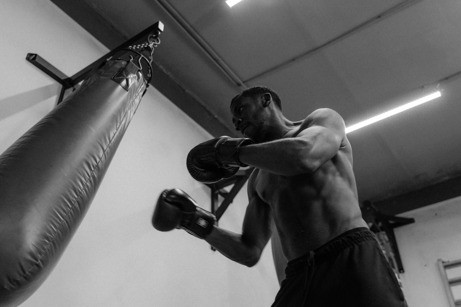 Francis Ngannou Wants Fight W/ Rico Verhoeven Next, ‘Very Compelling’ Matchup